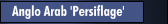 Anglo Arab 'Persiflage'