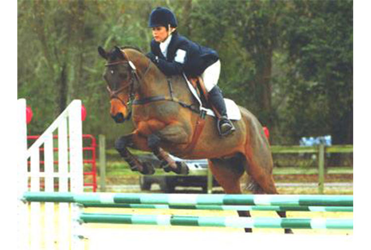 http://www.biddesdenstud.co.uk/wp-content/uploads/2013/07/dhundhu-showjump.jpg