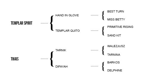 http://www.biddesdenstud.co.uk/wp-content/uploads/2013/09/THEVETIA-Pedigree.jpg